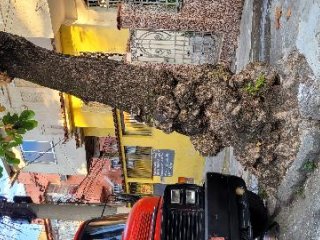 Imagem do imóvel CA42380